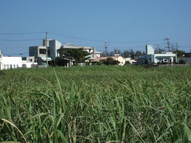 Akachichi Guesthouse Onna Exterior photo